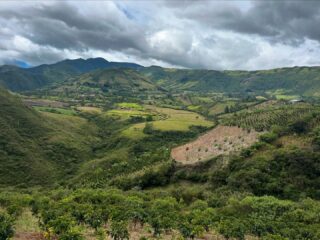 Recorrimos Consacá y Yacuanquer, dos de los municipios donde se cultivan los productos que llegan a las Canastas Verdes. Una oportunidad para conocer de cerca a las familias productoras y su trabajo en el territorio.
#Agroecología #ConsumoResponsable #CanastasVerdes #ProducciónLocal #EconomíaSolidaria #TerritoriosQueAlimentan