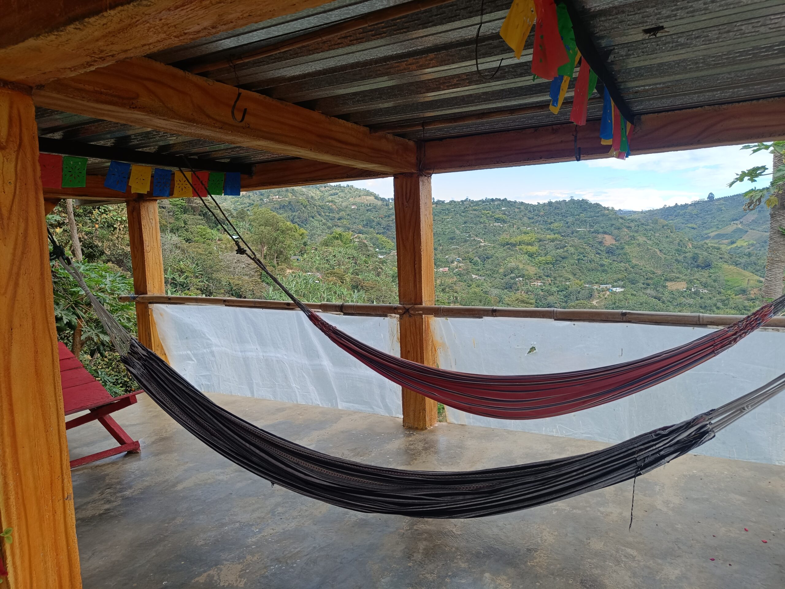 Vista Hermosa - Actividad 4