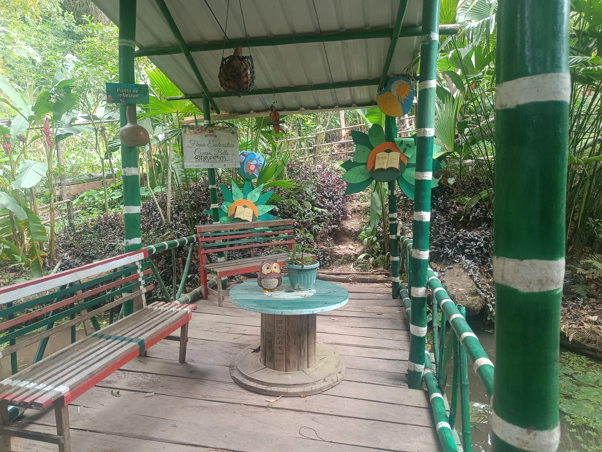 Campo Bello - Actividad 6