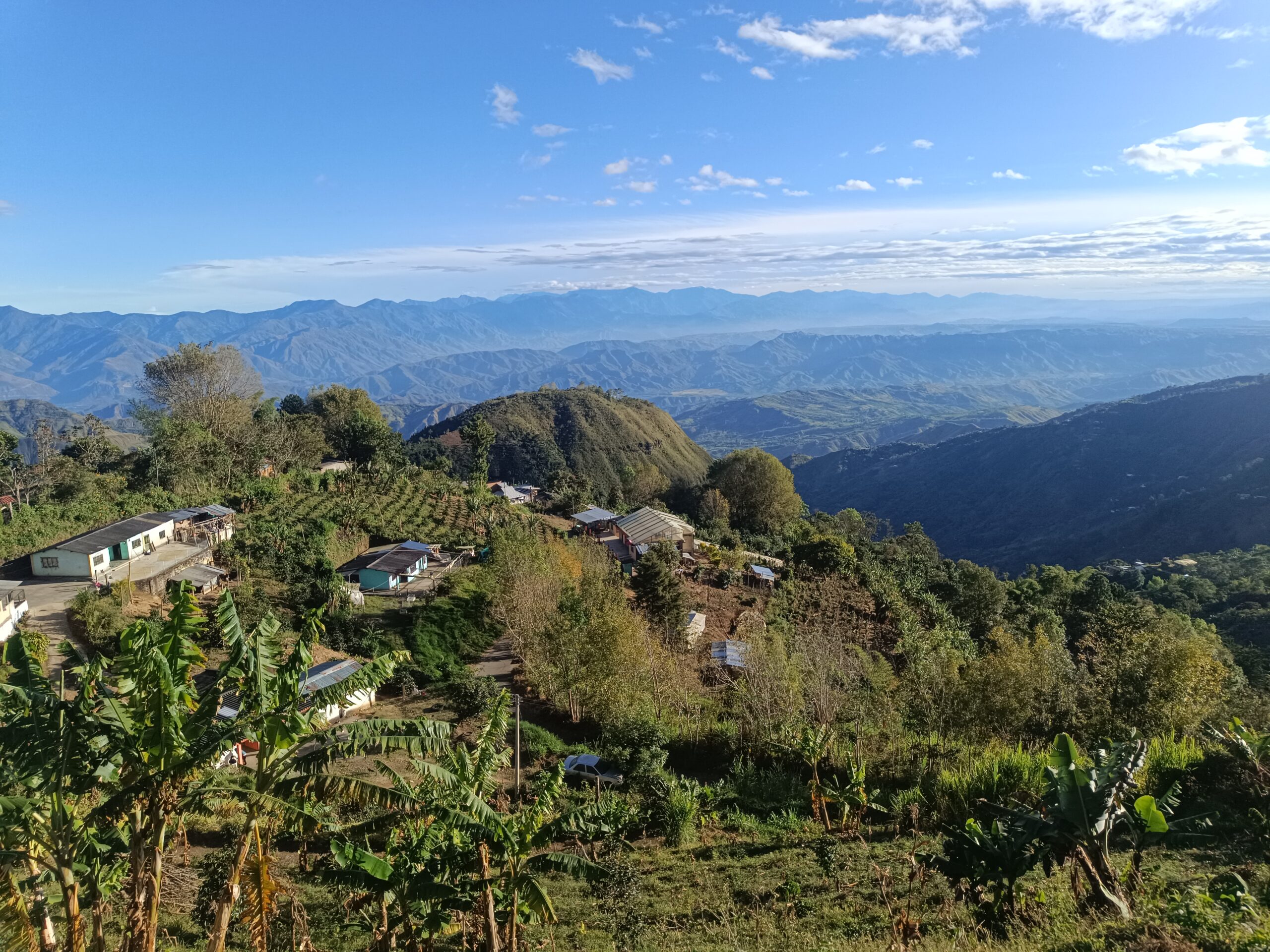 El Mirador - Actividad 1